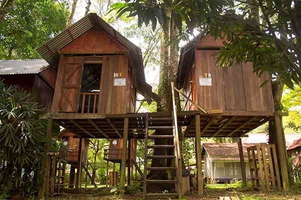 Gopeng accommodations- Earth Camp Tree houses