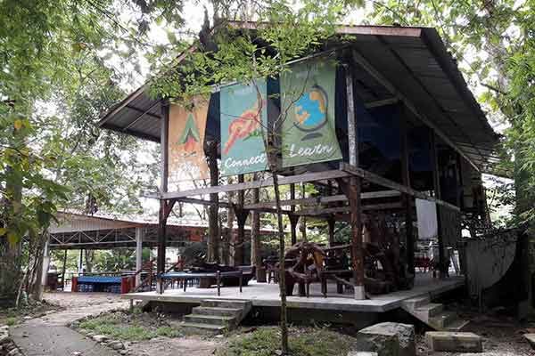 Earth Camp facilities- jungle lounge